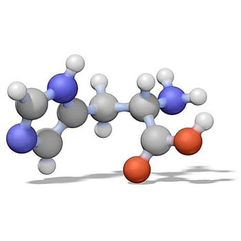 LiChroCart (R) 150-4.6 LiChroSphere (R) RP-8 5 μm HPLC 柱芯 150635 1STMerck(默克密理博)1.50635.0001